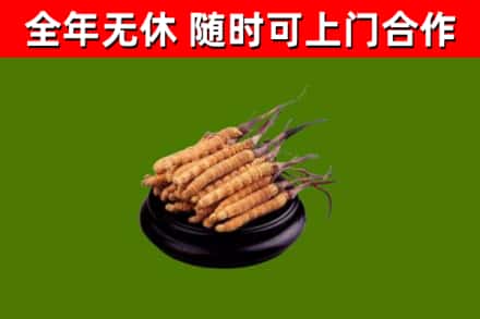 云阳烟酒回收冬虫夏草.jpg